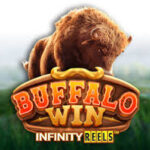Buffalo Win: เจาะลึกมหาอำนาจแห่งทุ่งหญ้าและกลยุทธ์ทำเงินระดับสากล 4 buffalo win 4 web 4 ufabet 888 .com เว็บตรง สล็อต PG อันดับ 1 ฝากถอนออโต้ มั่นคง ปลอดภัย