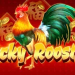 เจาะลึก Lucky Rooster บนระบบ สล็อต easy วิเคราะห์ค่า RTP 96.50% และเทคนิคจัดพอร์ตโดยผู้เชี่ยวชาญ 3 Lucky Rooster 1 web 1 ufabet 888 .com เว็บตรง สล็อต PG อันดับ 1 ฝากถอนออโต้ มั่นคง ปลอดภัย