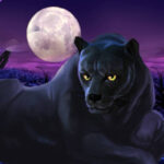 สล็อต easy Panther Moon: เจาะลึกกลยุทธ์เสือดำมหาโชค และคู่มือการลงทุนระบบ Full-Funnel ระดับ Masterclass 3 Panther Moon 10 web 10 ufabet 888 .com เว็บตรง สล็อต PG อันดับ 1 ฝากถอนออโต้ มั่นคง ปลอดภัย