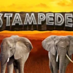 สล็อต 777 pg เว็บตรง เจาะลึก Stampede สล็อตซาฟารีระดับตำนานและกลยุทธ์ทำกำไร 4 Stampede 1 ufabet 888 .com เว็บตรง สล็อต PG อันดับ 1 ฝากถอนออโต้ มั่นคง ปลอดภัย