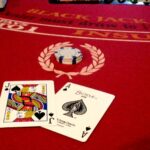 เจาะลึก Pontoon Blackjack: กฎกติกา กลยุทธ์ขั้นสูง และการเดิมพันผ่าน slot master 4 Pontoon Blackjack 10 ufabet 888 .com เว็บตรง สล็อต PG อันดับ 1 ฝากถอนออโต้ มั่นคง ปลอดภัย